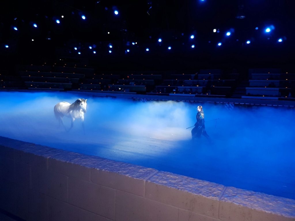 My Review of Medieval Times Dinner & Tournament